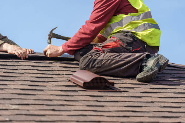 Professional Roofing Contractor in St Louis, MI