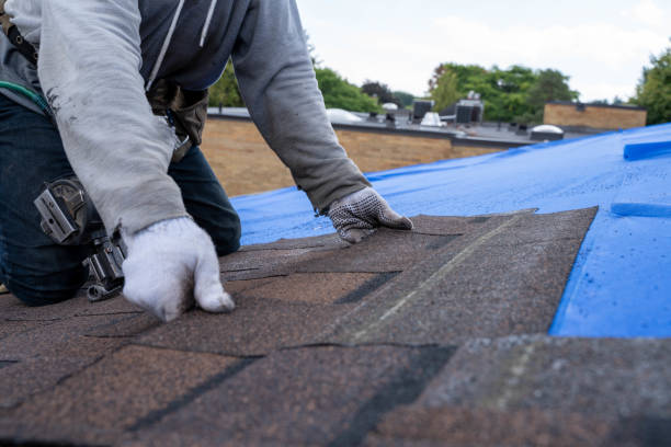 Best Local Roofing Companies  in St Louis, MI