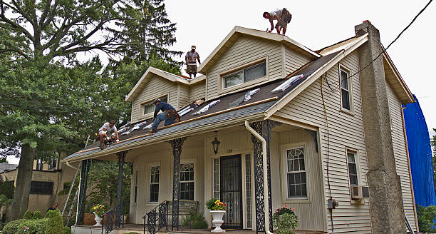 Best Roof Restoration Services  in St Louis, MI