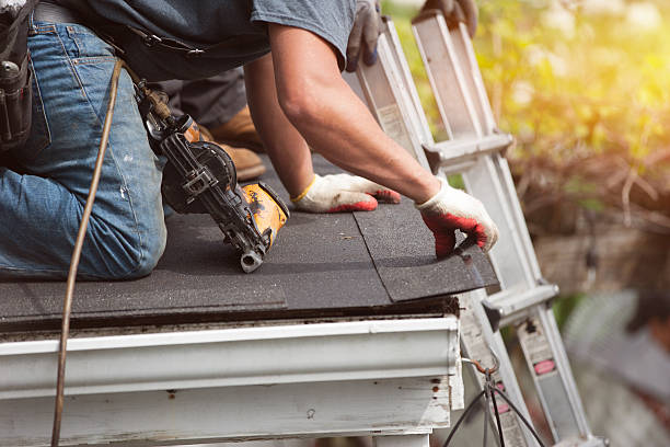 Best Roof Waterproofing Services  in St Louis, MI